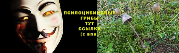 spice Бугульма