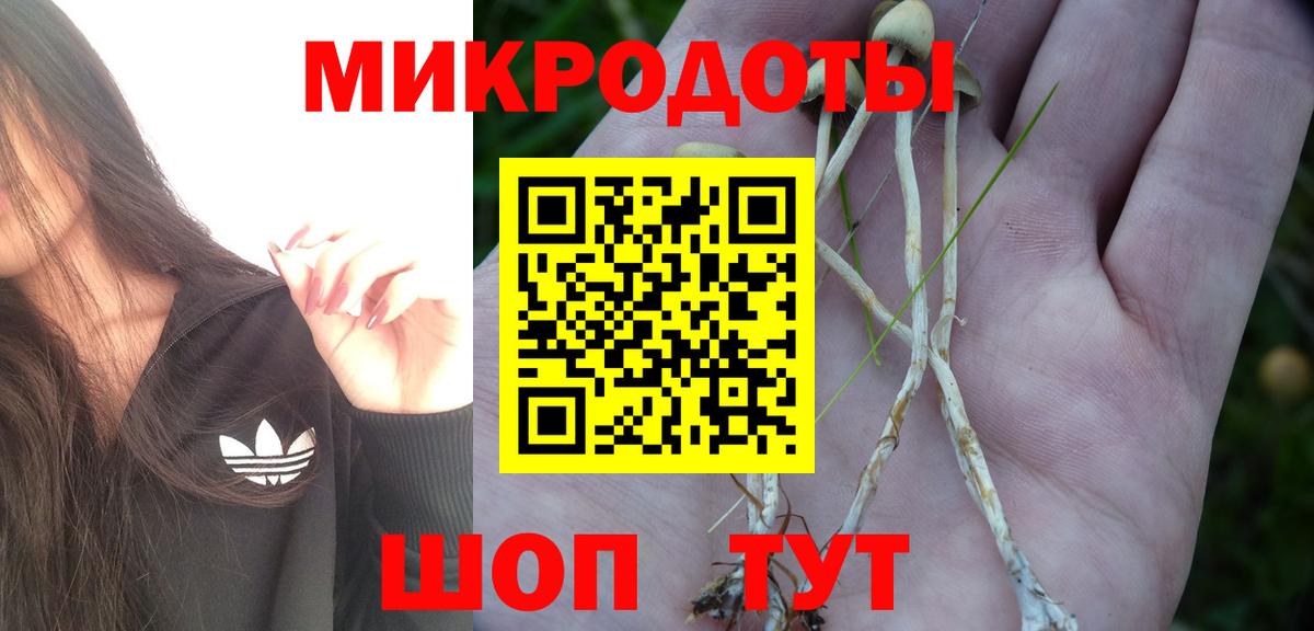 Маркс  Галлюциногенные грибы мицелий  Галлюциногенные грибы Cubensis  Вход с VPN 