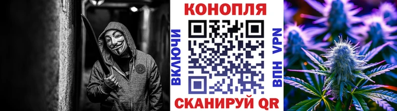 Конопля сатива  Маркс 